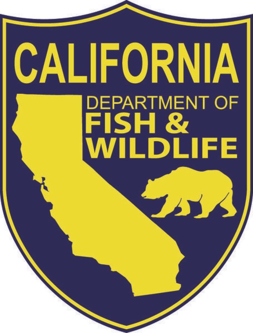 May 1 recreational ocean fishery openings to proceed as planned