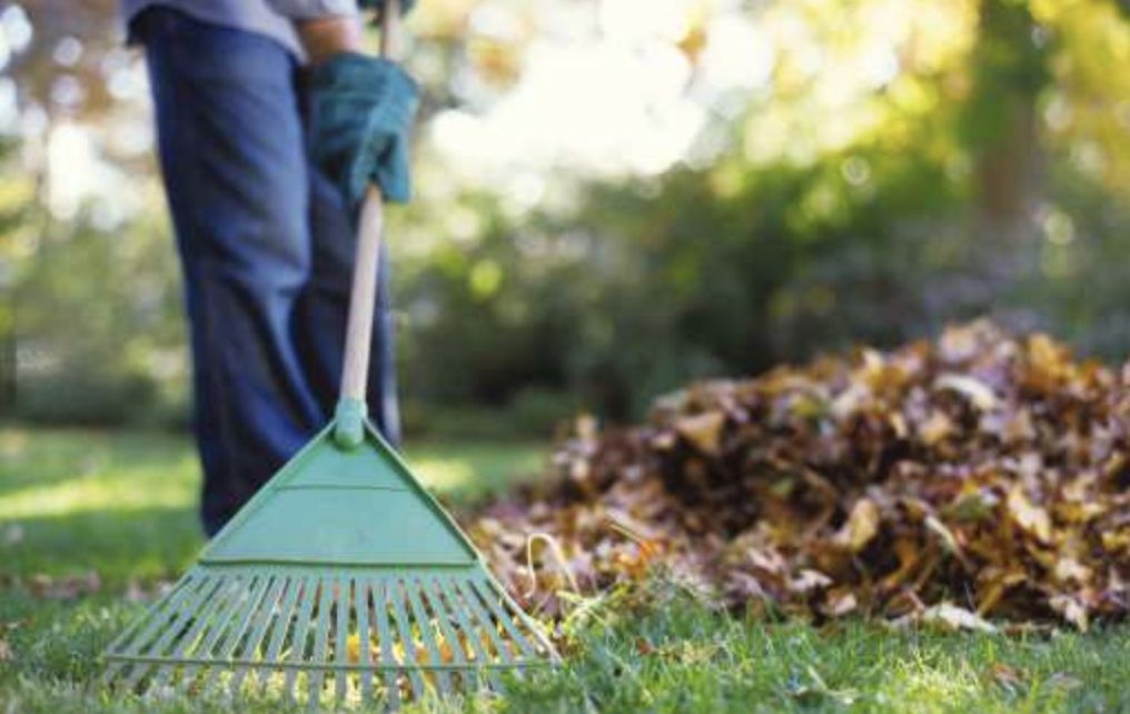 Stay safe while working in the yard