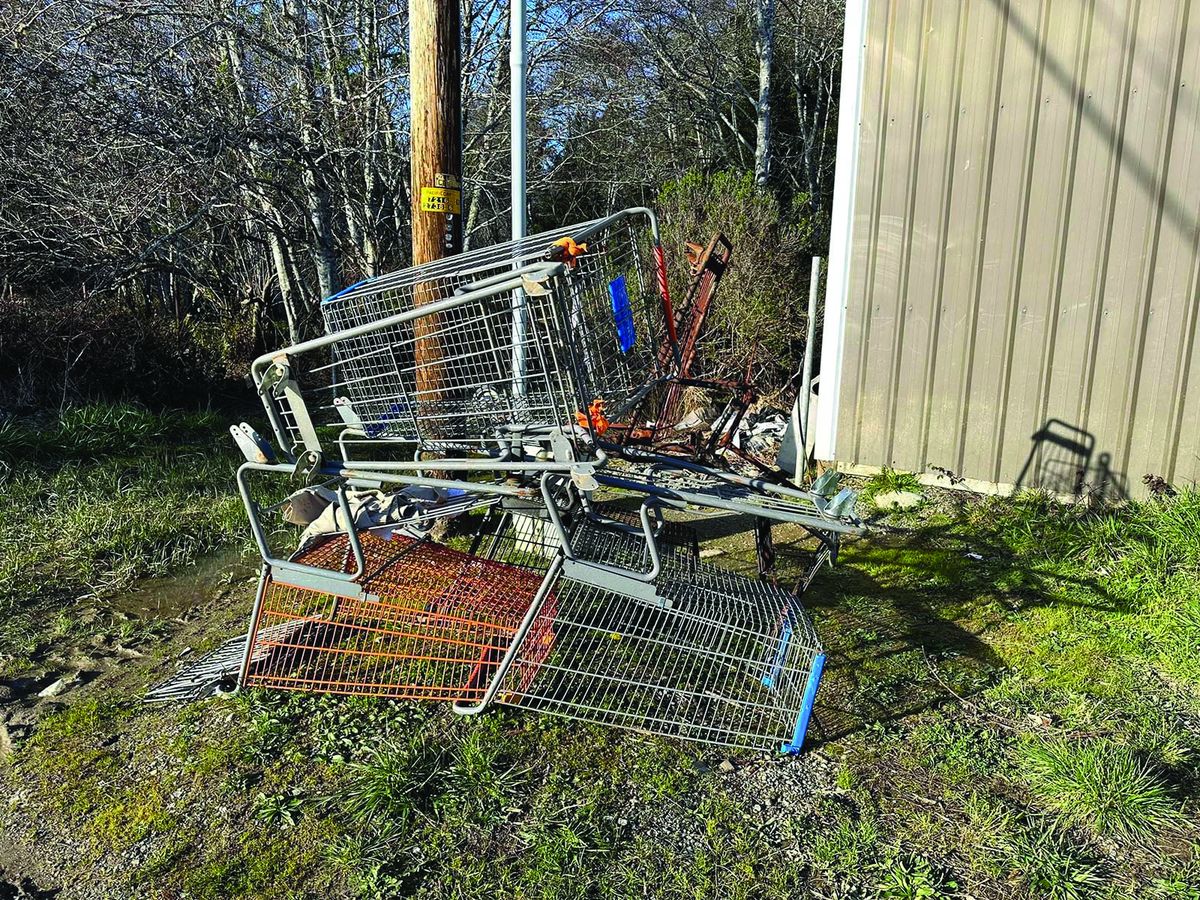 Abandoned carts foul Crescent City