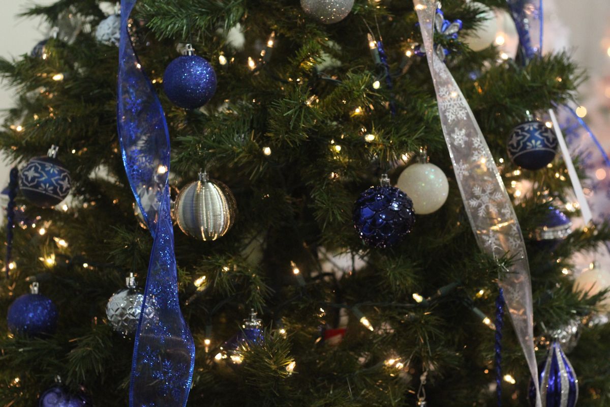 System Transport to Haul the 2021 U.S. Capitol Christmas Tree