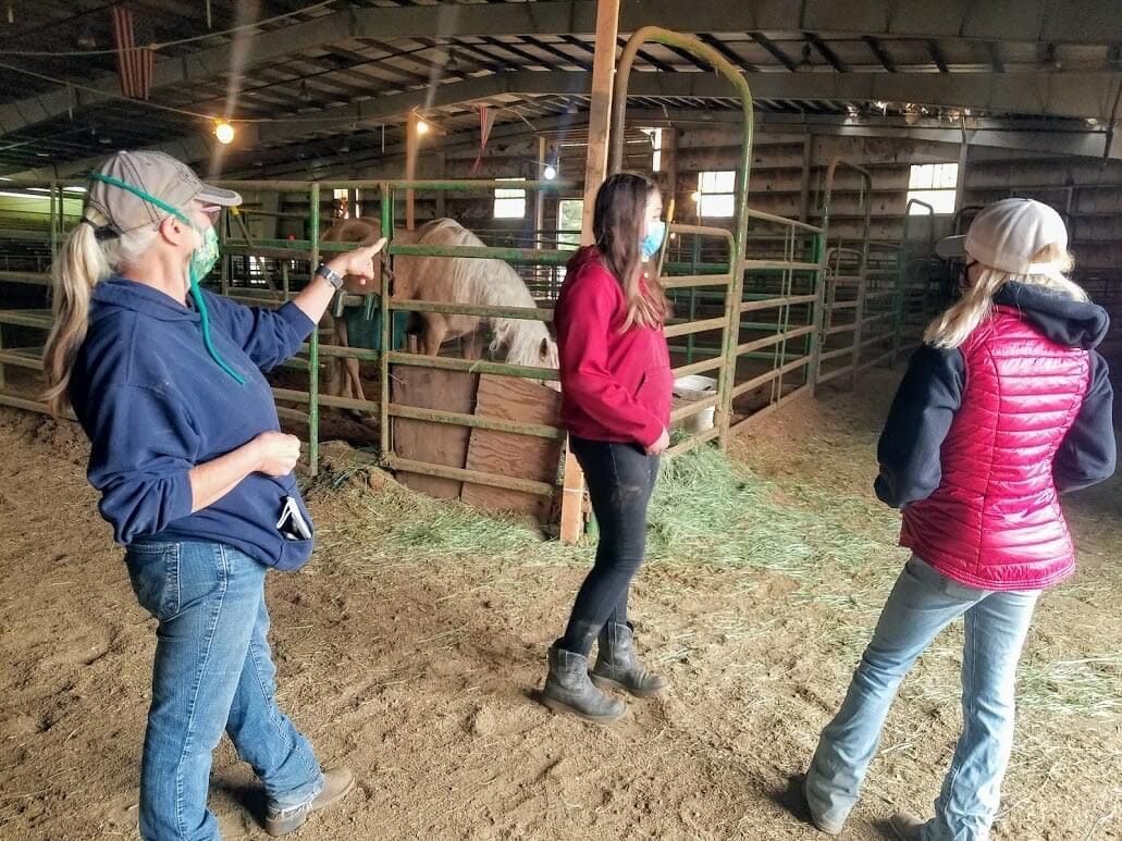 Regional animal evacuation shelter stands ready