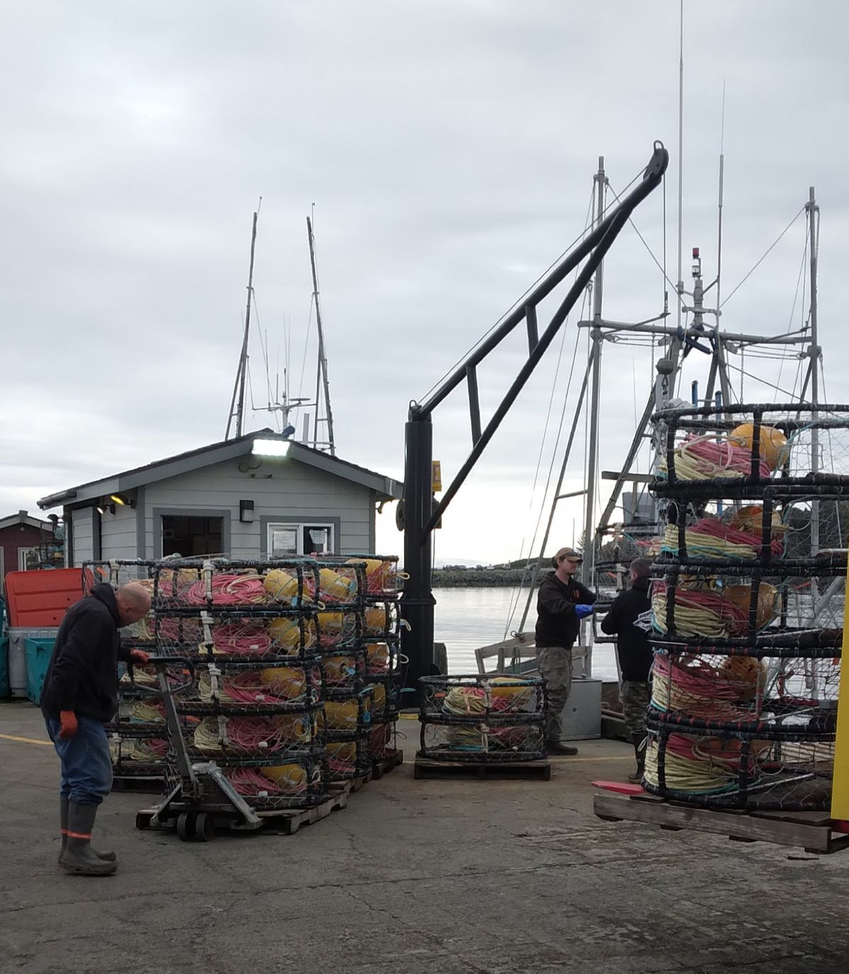 Photos: Setting down the pots on the first day of crabbing 2023