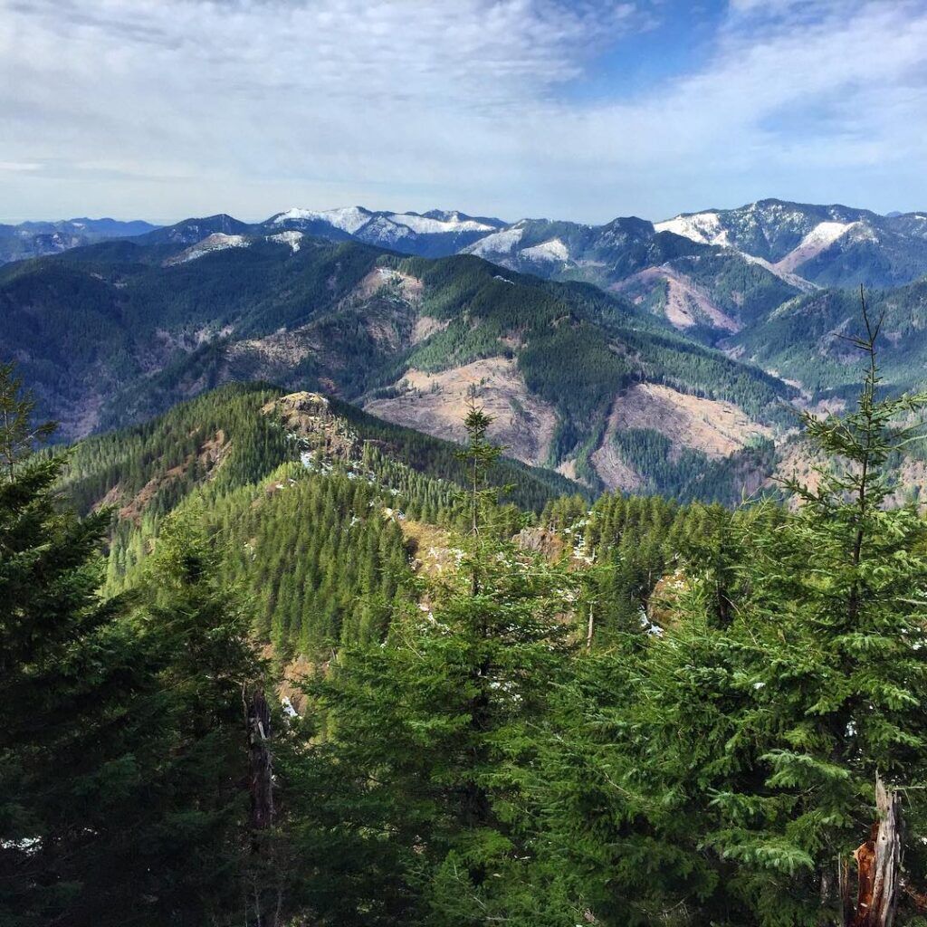 Plan to protect threatened and endangered species in forests could face new delay