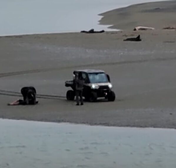 Search and Rescue saves stranded man at the Smith River mouth