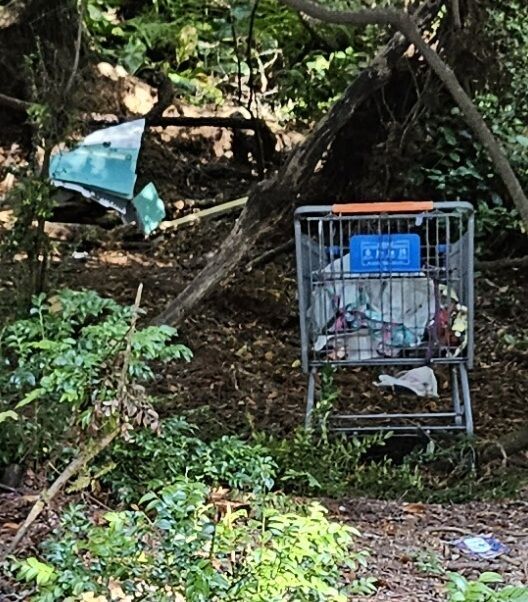 Vacant county land continues to be trashed