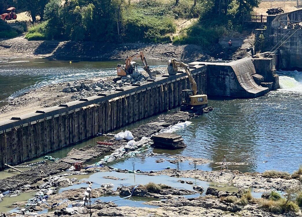 Dam operators now face water pollution fines on top of millions for fish kills
