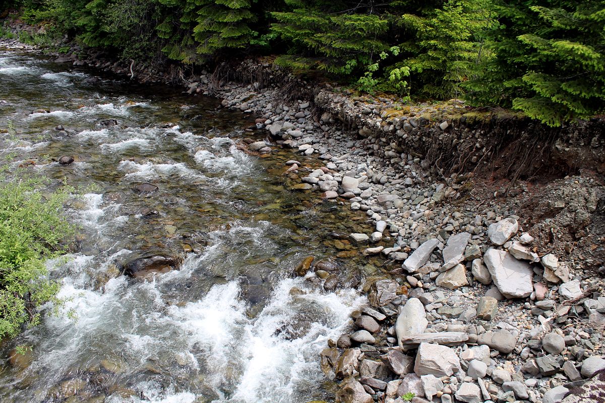 Study: Forest landslides’ frequency, size influenced more by road building, logging than heavy rain