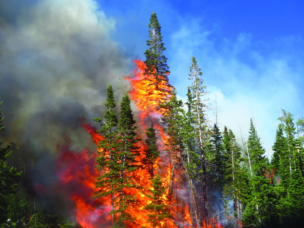 Feinstein: Northern California to  receive $81 million to reduce wildfires