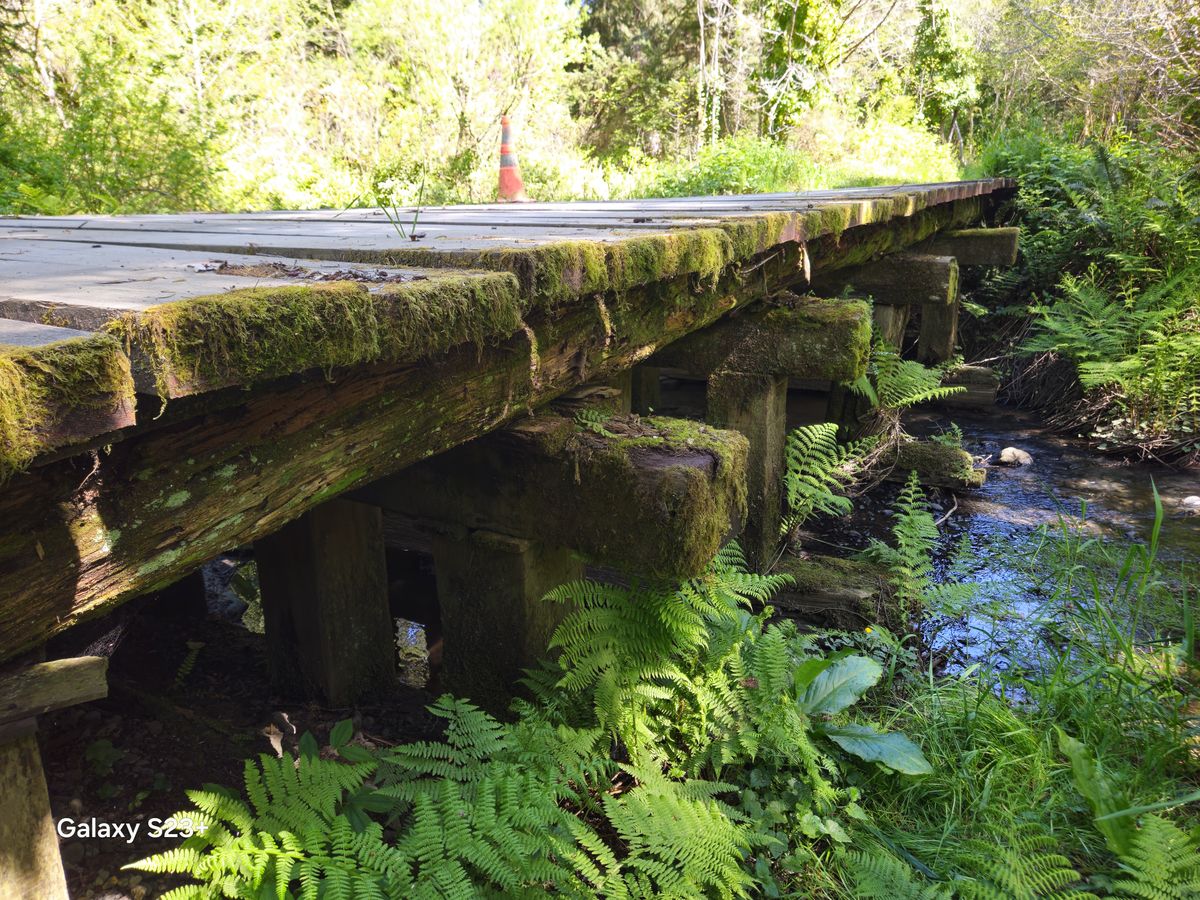 A Bridge to Somewhere