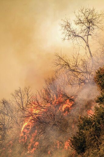 Legislature invests over $600 million for wildfire recovery, prevention