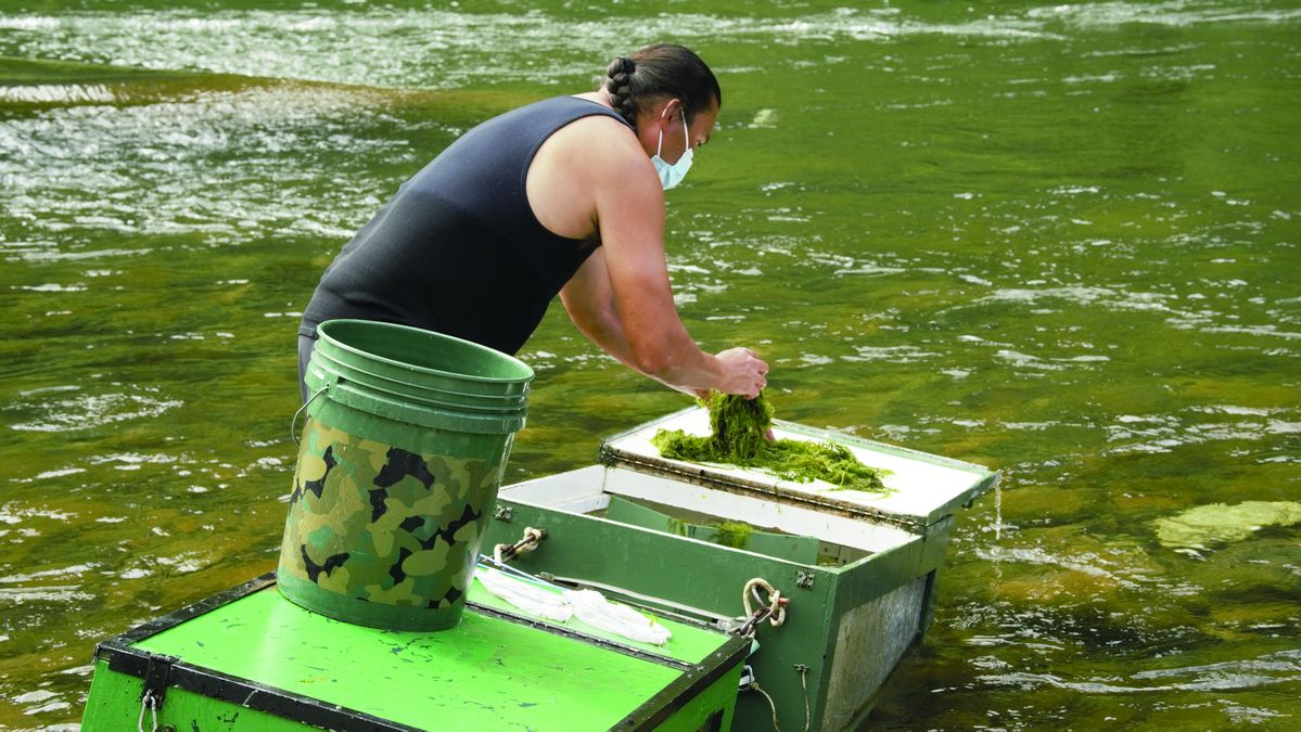 Increased fish kill is a troubling sign
