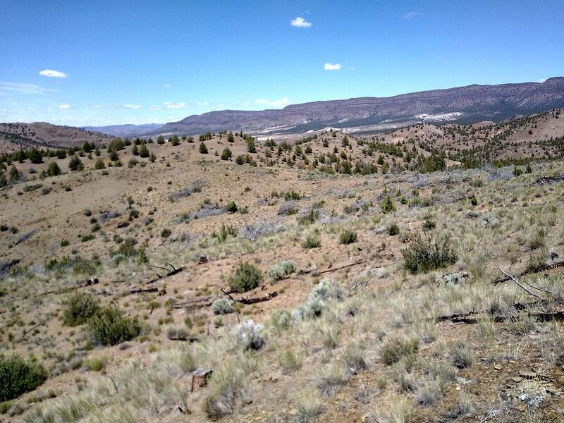 Study provides long-term look at ways to control wildfire in sagebrush steppe ecosystem