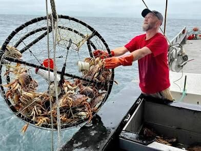 Commercial Dungeness Crab Fishery Closes in Del Norte County
