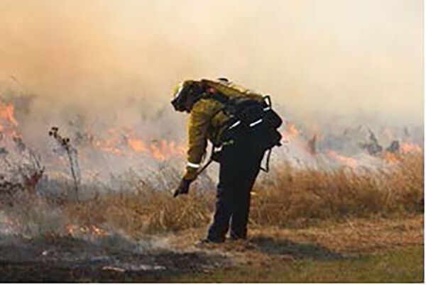 Cal Fire assists California State Parks with prescribed fire Oct. 27 - 28