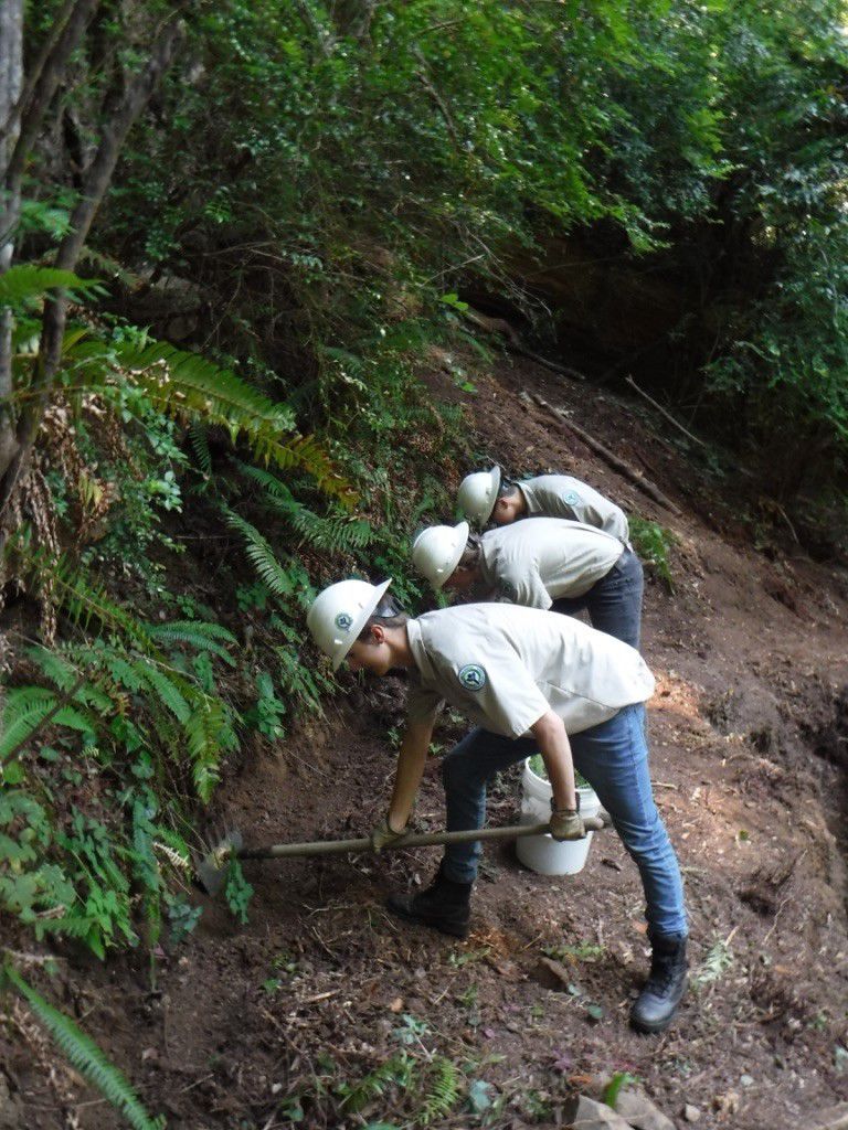 Redwood National and State Parks offers Summer Youth Conservation Corps jobs