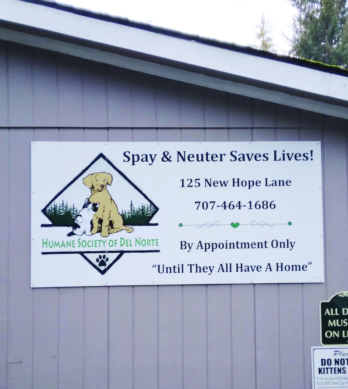 Spay, neuter clinic faces serious questions
