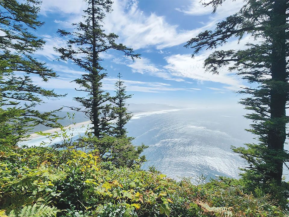 Timber and Tides webinar series offered