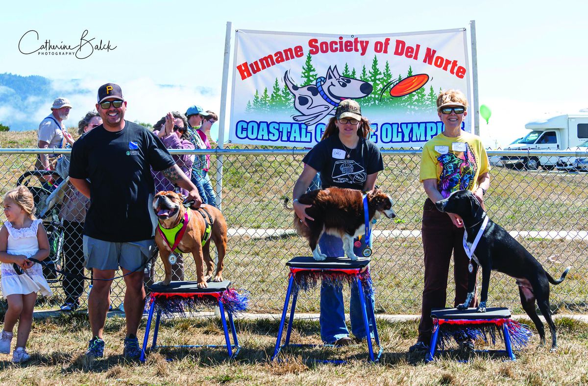 Canine Olympics showcase man’s best friend