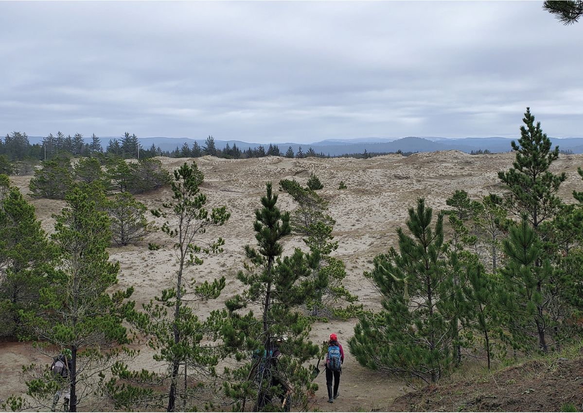 Volunteers making a difference at Tolowa Dunes State Park