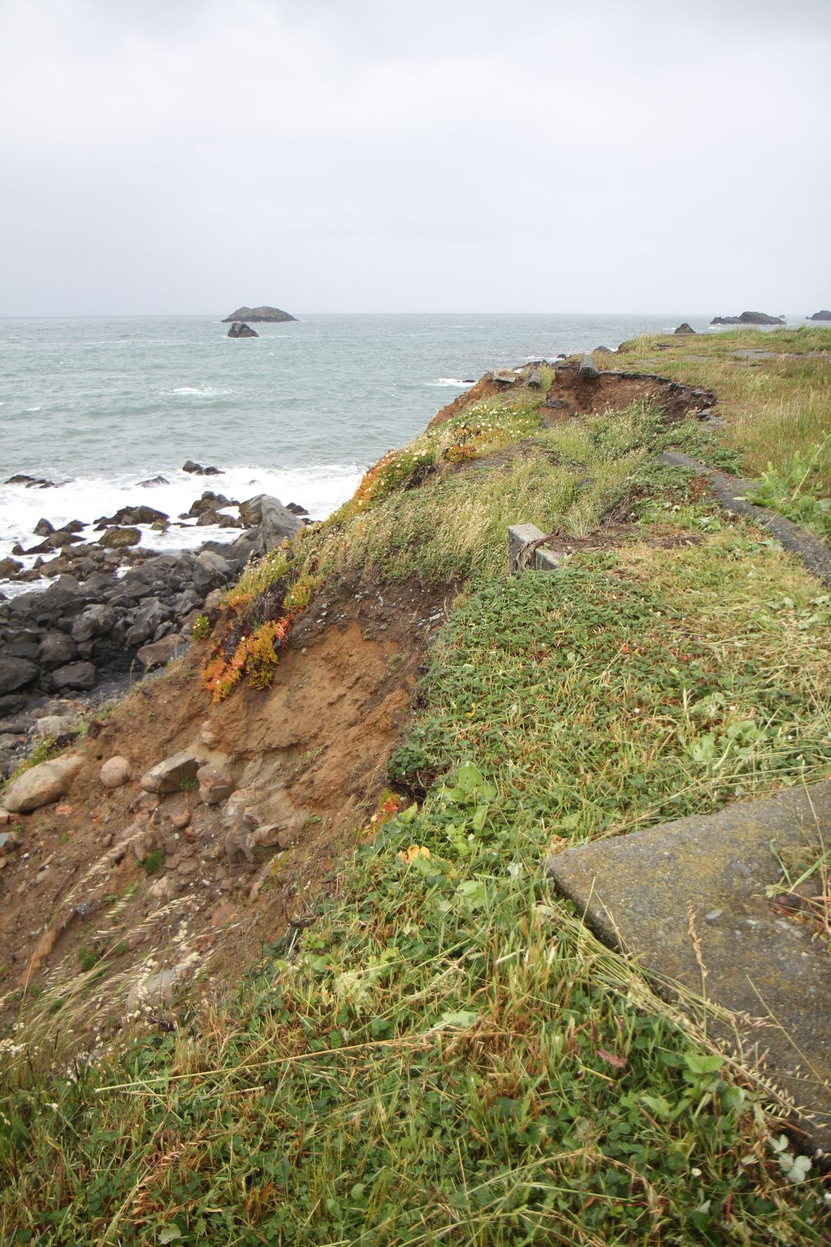 First phase of Pebble Beach stabilization project authorized