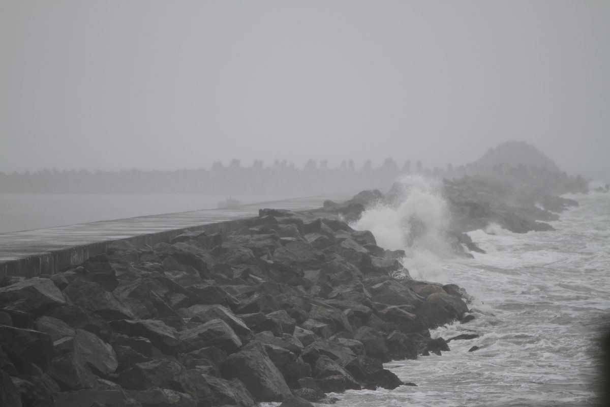 High winds along coast and inland increase outage risk over next 24 hours