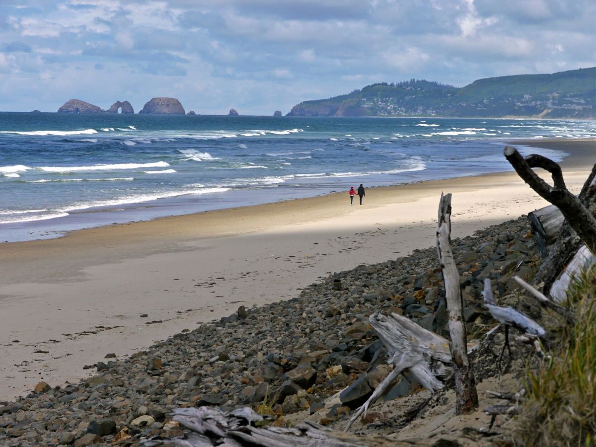 Coast Camping: State parks now offering same-day online reservations