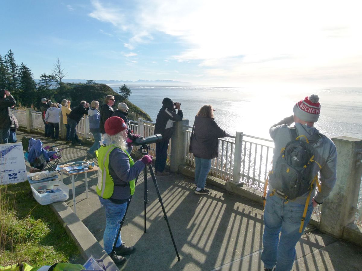 It’s whale-watching time again