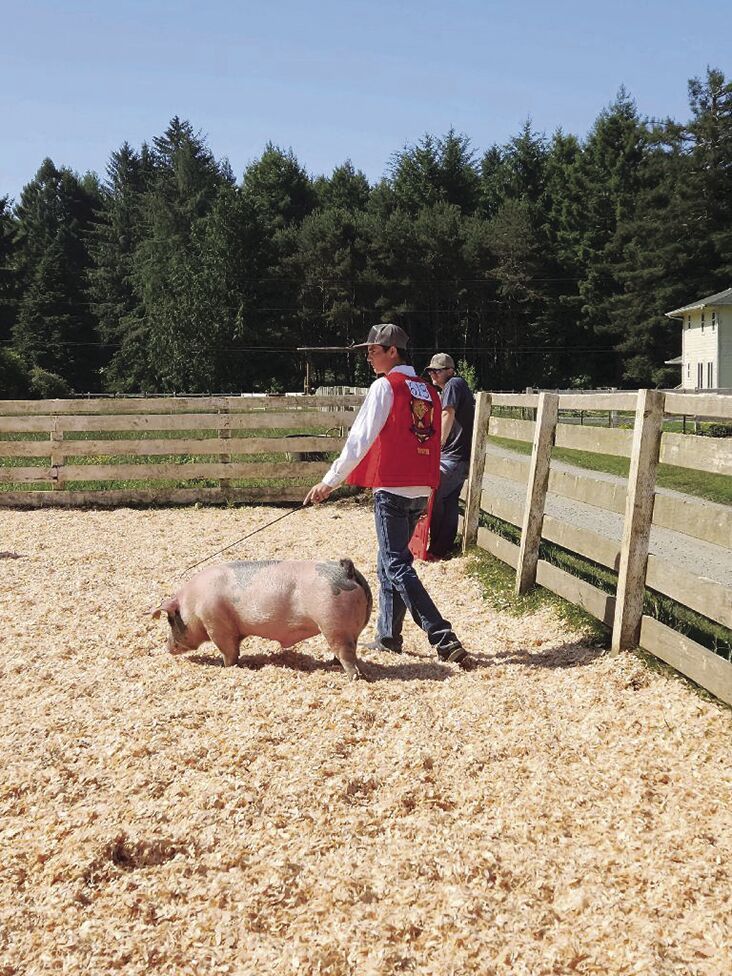 Dixon Field Day prepares students for county fair