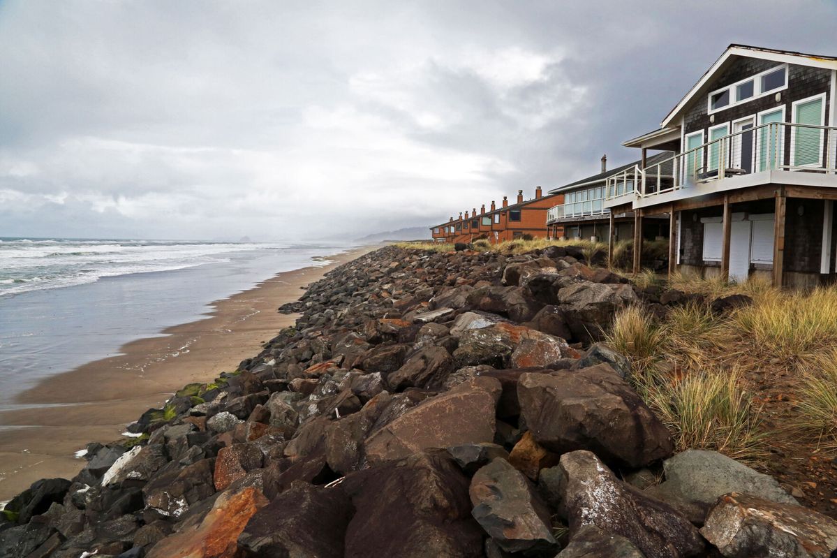 Neighbors influence coastal landowners’ decisions to armor shorelines against erosion, rising seas