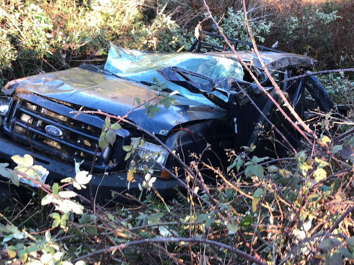 Fatal Crash on Carpenterville Highway