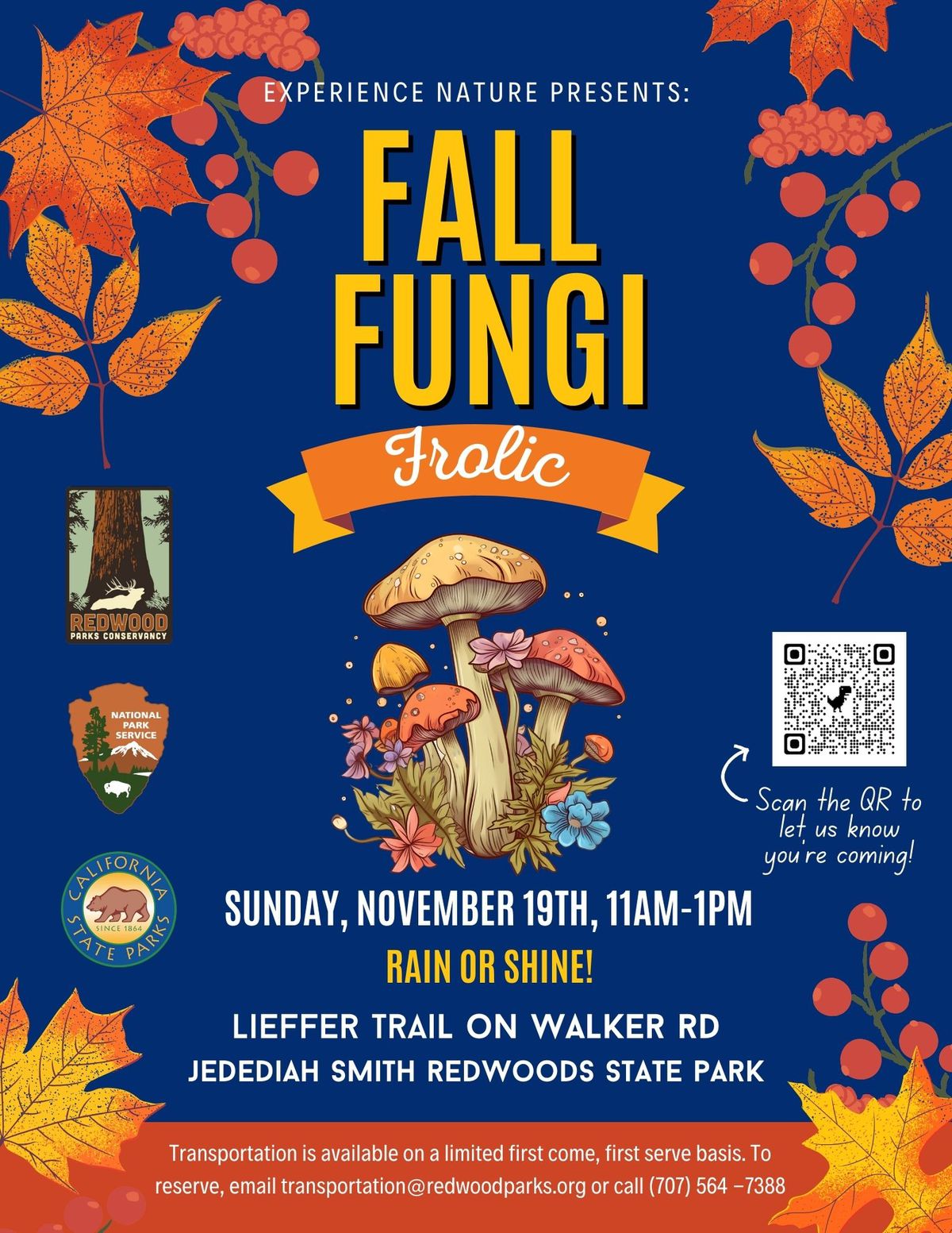 All abilities welcome for Fungi Walk on Sunday, November 19th at Leiffer Trail in Jed Smith