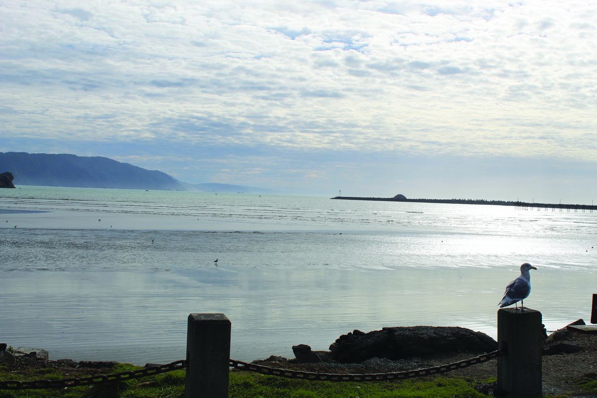January 17th Crescent City Harbor Commission meeting