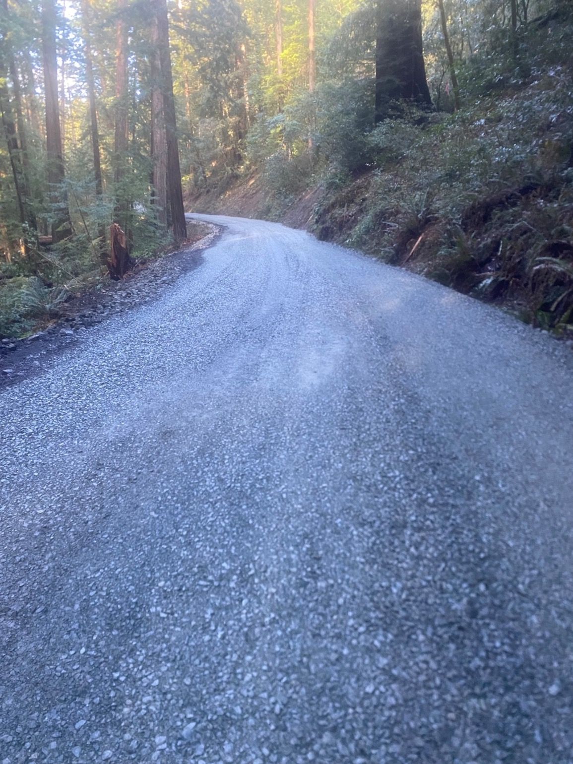 California State Parks Reopens Mattole Road in Humboldt Redwoods State Park