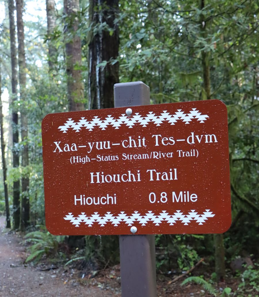 New trail in Del Norte County in the ancestral territory of the Tolowa People