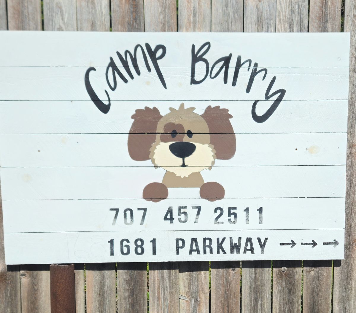 Camp Barry rescues Dogs/ Fosters Puppies