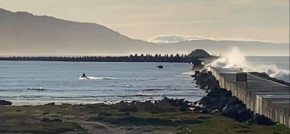 Woman rescued after waves swept her off jetty